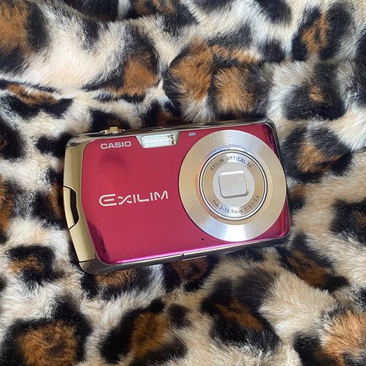 Casio Exilim EX-Z1 *flash not working*